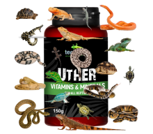 Terrario UTHER for Reptiles Вітаміни для рептилій і земноводних 150г