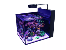 Red Sea Акваріумний комплект Max Nano G2 Peninsula 100л біла базова шафа