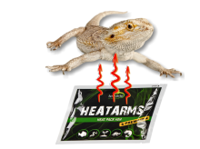 Terrario Heatarms Грілка для транспортування