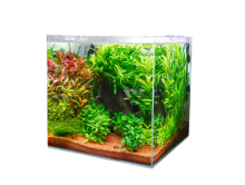 Акваріум Dupla з ультрабілого скла Scaping Cube 10 20x20x30см