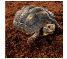 Repti-Zoo Coconut fiber Substrate Підкладка з кокосового волокна 8л