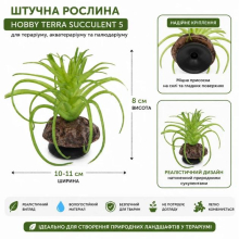 Hobby Terra Succulent 5 Штучна рослина для тераріуму, акватераріуму та палюдаріуму 8см