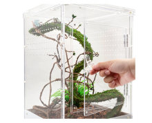 Тераріум Repti-Zoo Acrylic Terrarium 20x20x30см